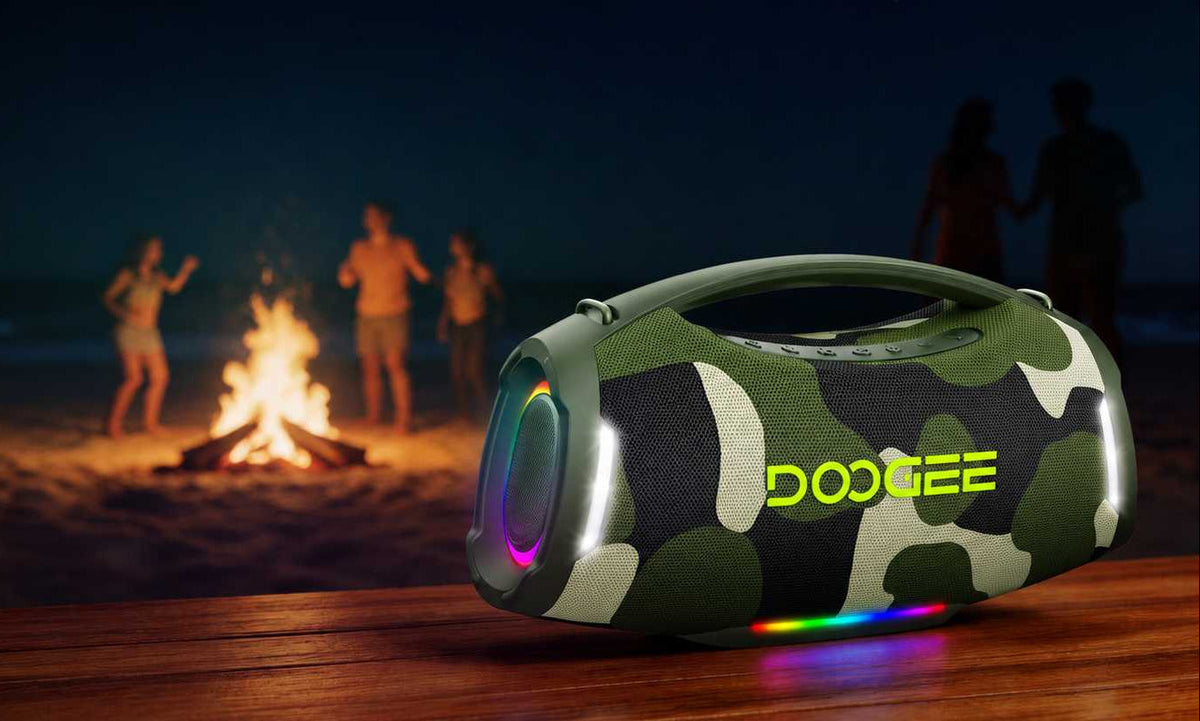 Wild Boom Pro 250w speaker