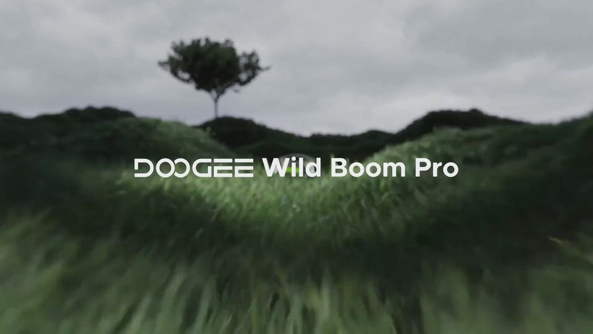 Wild Boom Pro video cover